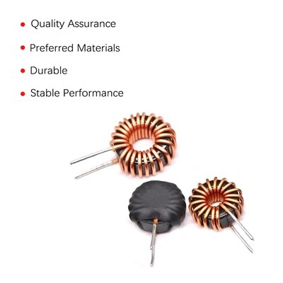 Ferromagnetic Core Inductor
